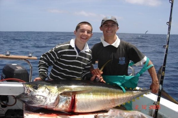Green Fish
