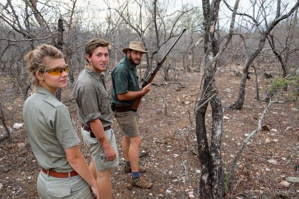 Gvi Bushwise Field Guides