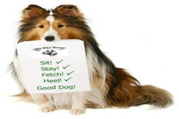 Happy Tails Doggy Daycare
