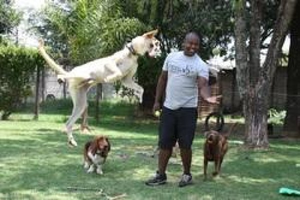 Happy Tails Doggy Daycare