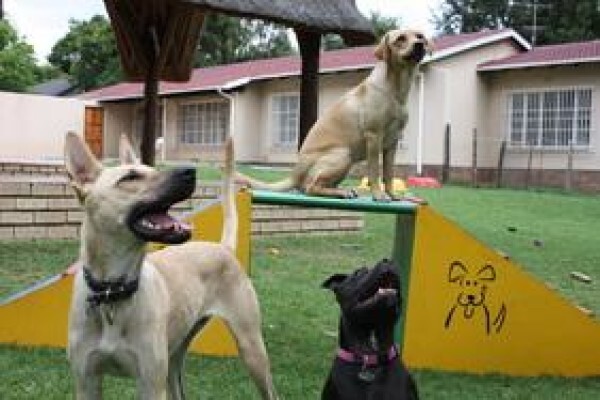 Happy Tails Doggy Daycare
