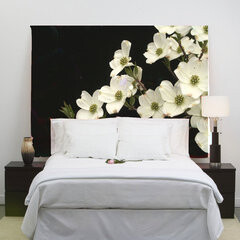 Headboards For Africa