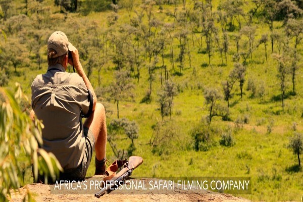 Igala Productions