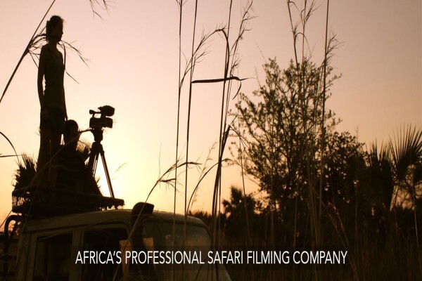 Igala Productions