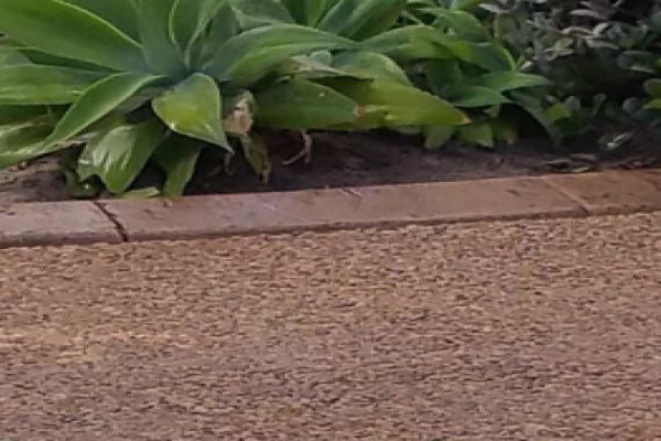 Imprintpaving