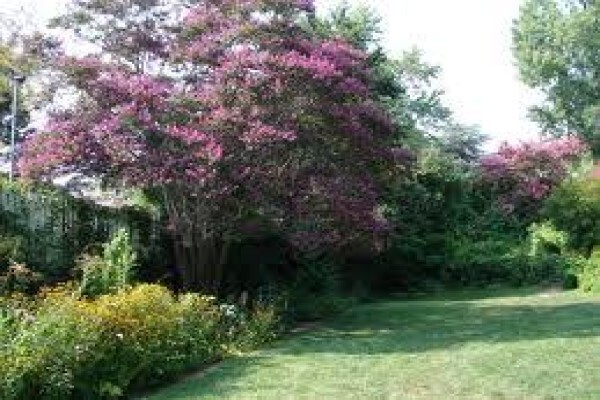 Kloof Garden Service