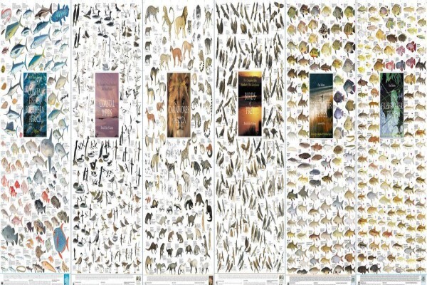 Korck Posters