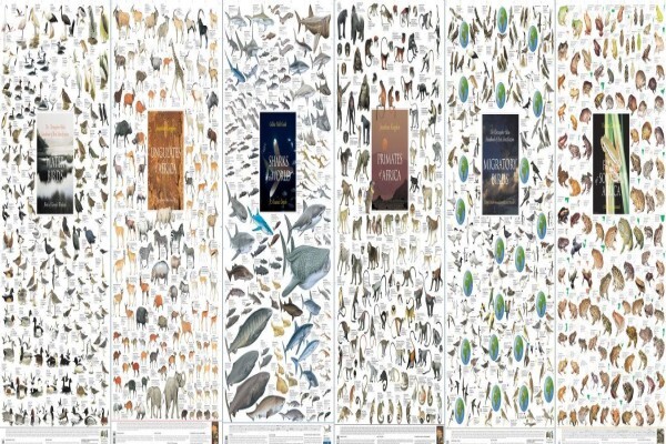 Korck Posters