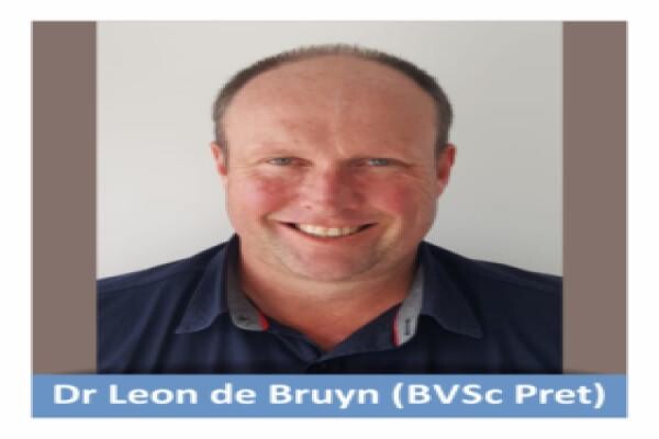 Kowie Vet