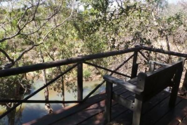 Kruger Park Tour