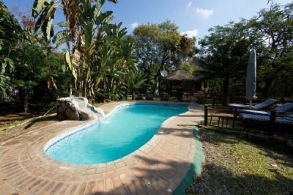 Kruger Park Tour