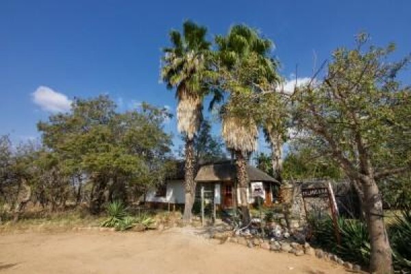 Kruger Park Tour