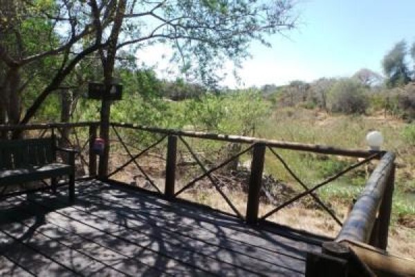 Kruger Park Tour