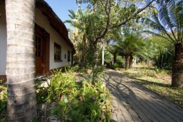 Kruger Park Tour