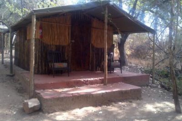 Kruger Park Tour