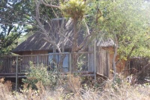 Kruger Park Tour
