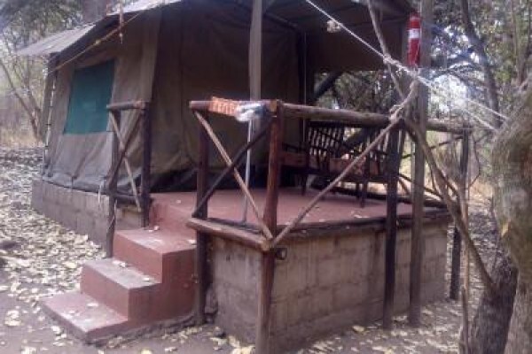 Kruger Park Tour