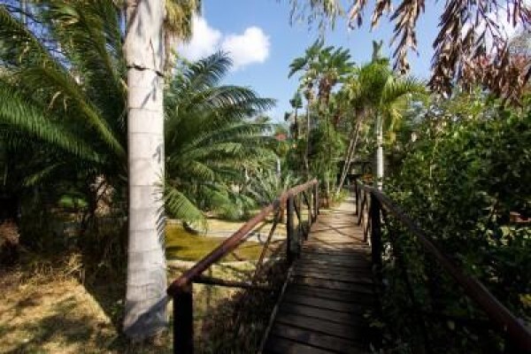 Kruger Park Tour