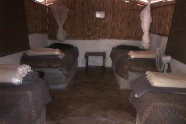 Kruger Park Tour