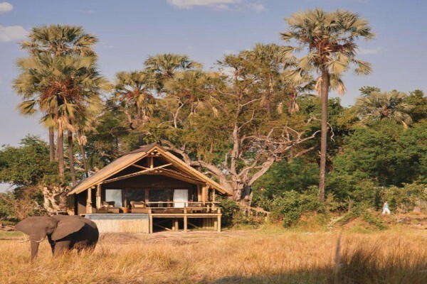 Jenman Safaris