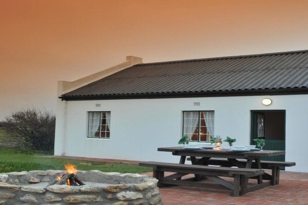 Jenman Safaris
