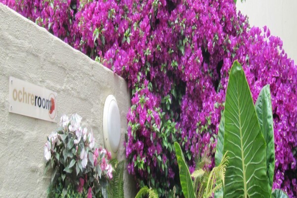 Johannesburg Guest Houses