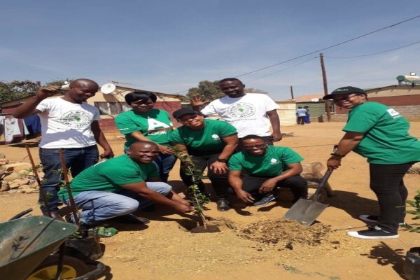 Johannes Tree Felling And Garden Service