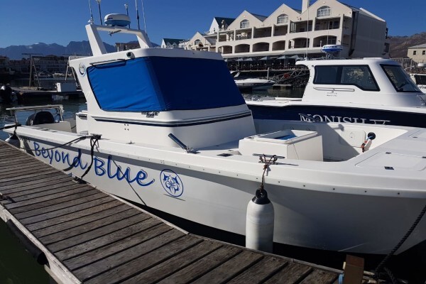 Just Boats
