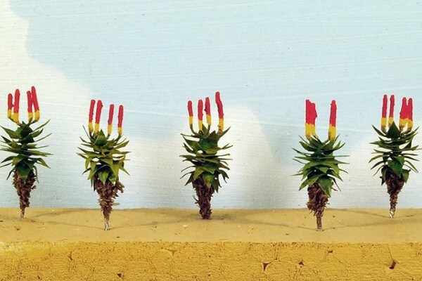 Model Scenic Products