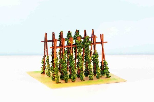Model Scenic Products