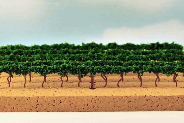 Model Scenic Products
