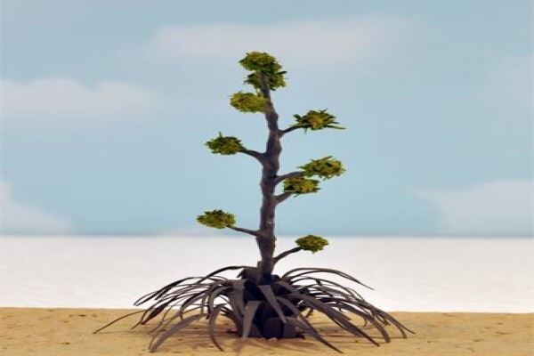 Model Scenic Products