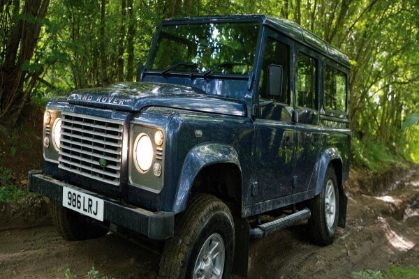 Landy Icon
