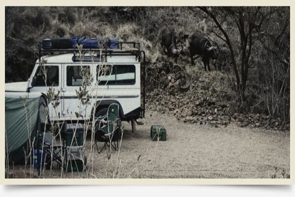 Landy Icon