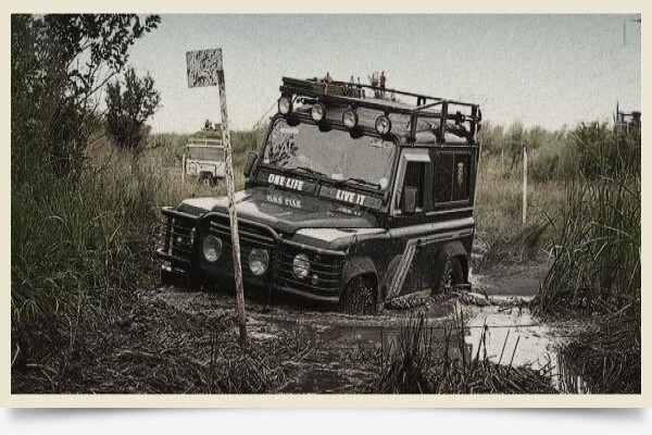 Landy Icon