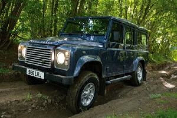 Landy Icon