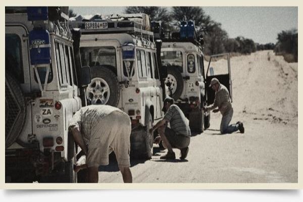 Landy Icon