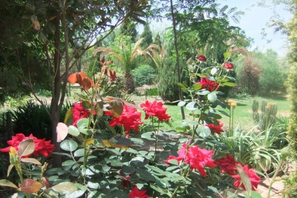 Lavenderhill Guest Farm
