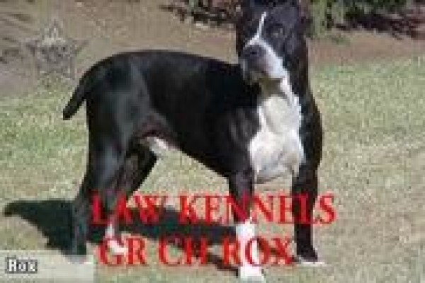 Law Kennels