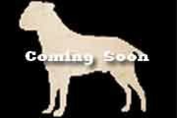 Law Kennels