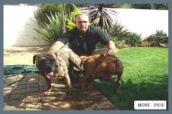 Law Kennels