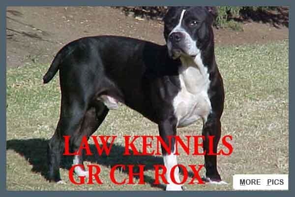Law Kennels