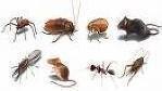 L & D Pest Control
