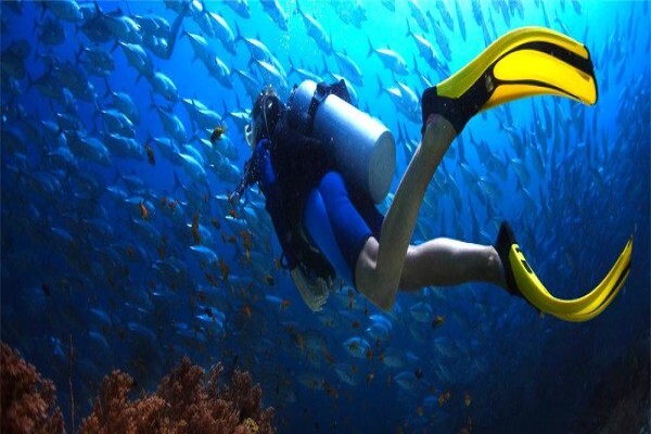 Learn To Dive