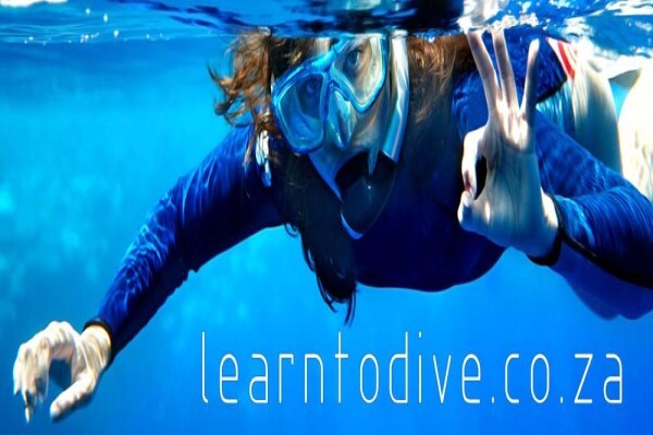 Learn To Dive