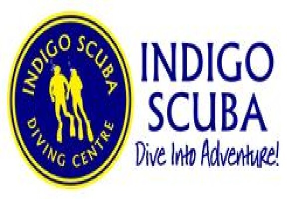 Learn To Dive