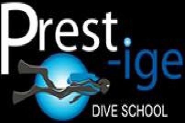 Learn To Dive