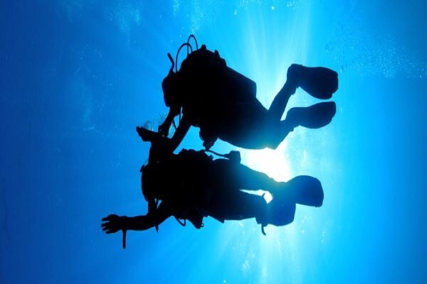 Learn To Dive