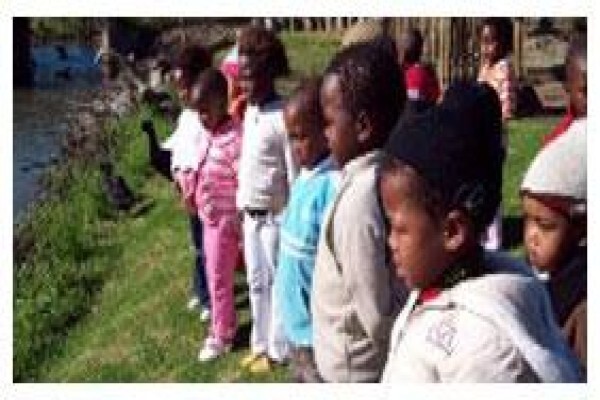 Mosaic Tours And Services