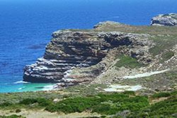Mosaic Tours And Services